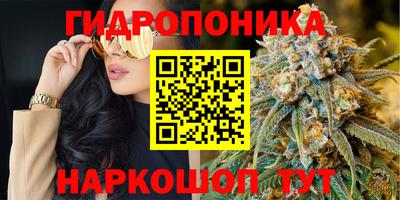 гашишное масло Кандалакша