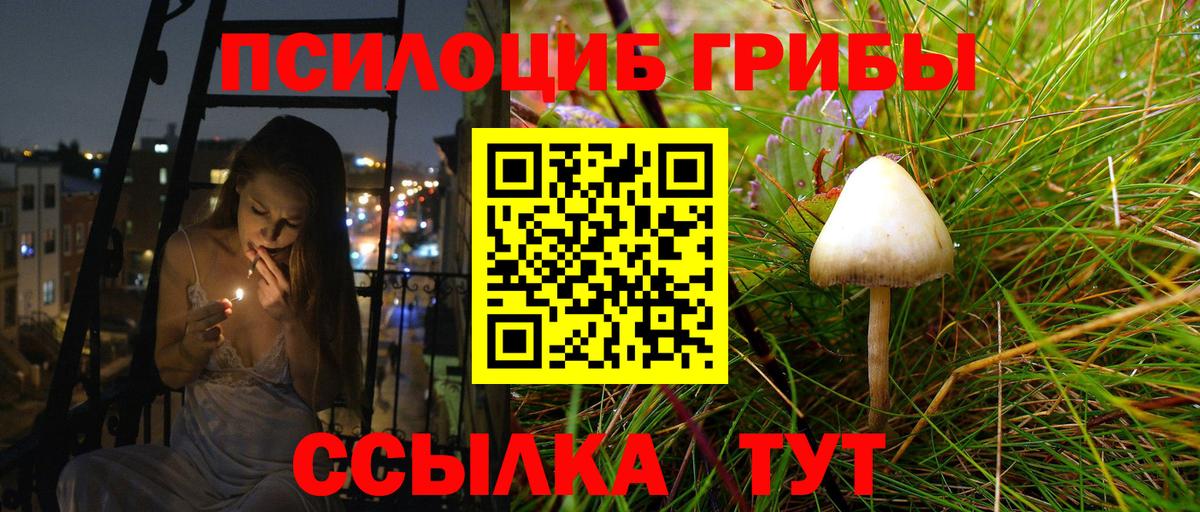 Магадан  Галлюциногенные грибы мицелий  Вход с VPN 