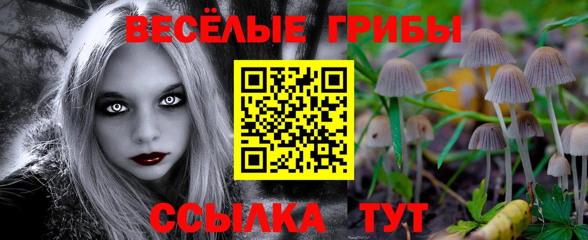 Галлюциногенные грибы MAGIC MUSHROOMS Магадан