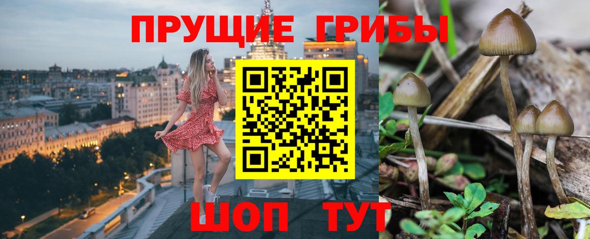 Экстази  A-PVP СК кристаллы  МАРИХУАНА  Вход с VPN  Меф   ГАШИШ  Вейп ТГК  МДМА  Магадан  COCAIN 